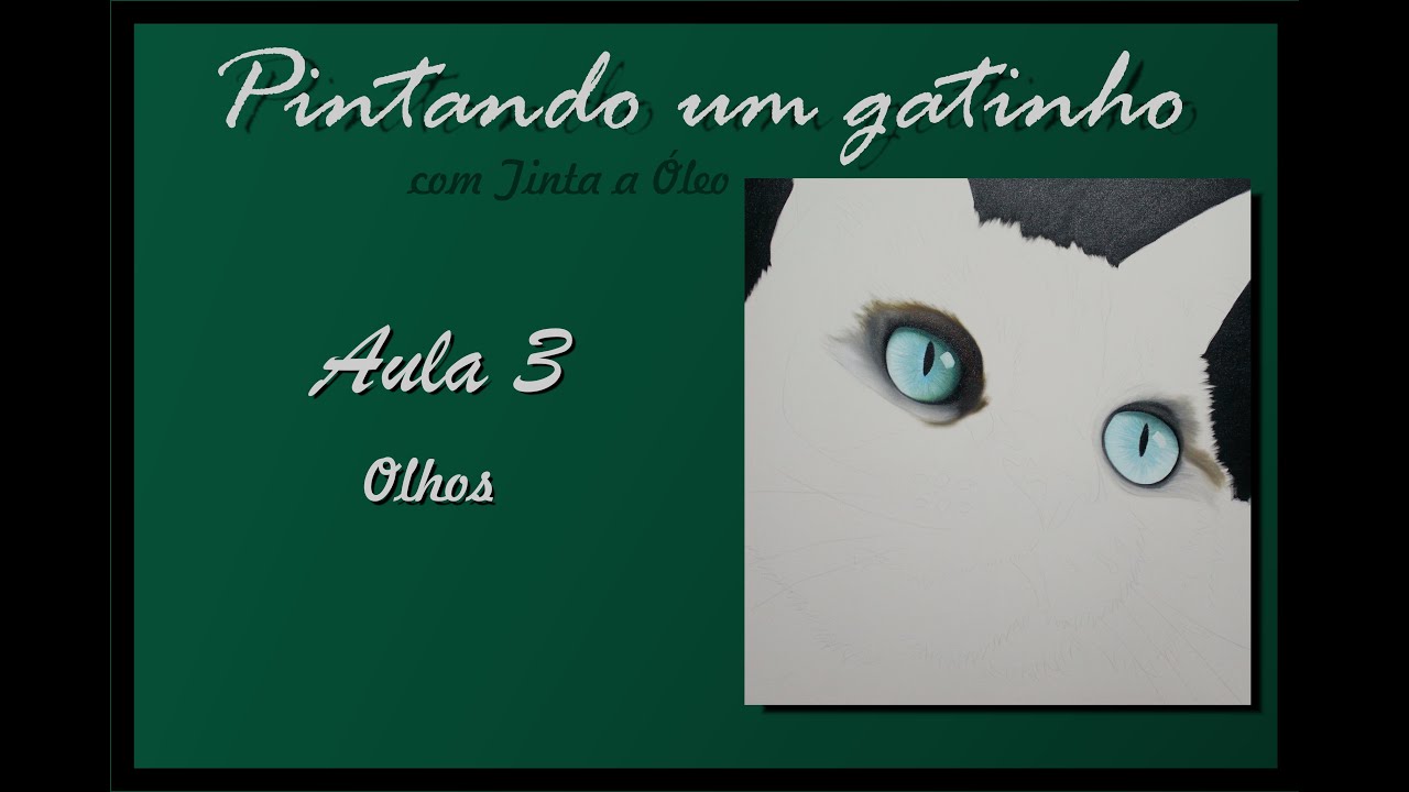 Aula 3 - Pintando um Gatinho - Olhos - Por Dri Torquato