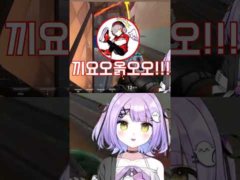 눈앞에서 죽는 다루마가 너무 웃긴 시노미야 루나 ㅋㅋㅋ 【시노미야 루나/브이스포!】