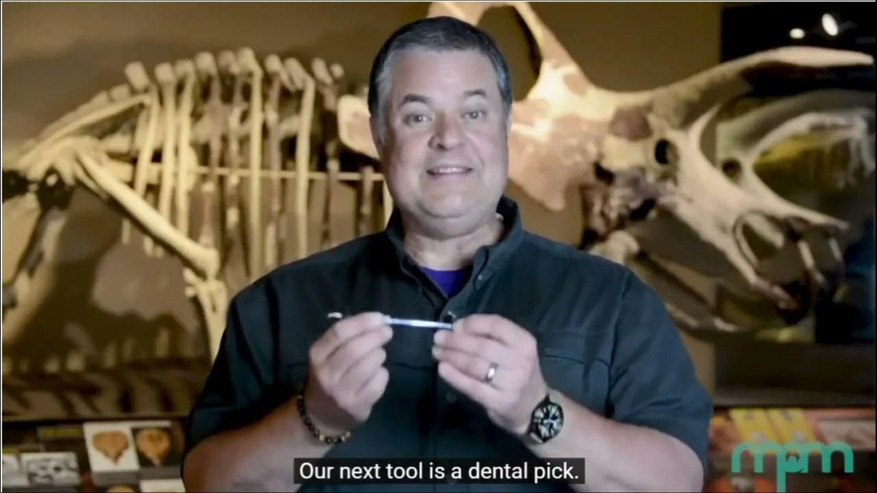 Paleontologist Toolkit Short YouTube