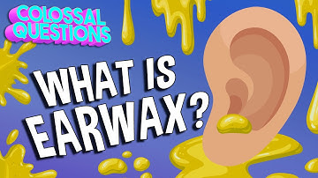 What Is Earwax? | COLOSSAL QUESTIONS