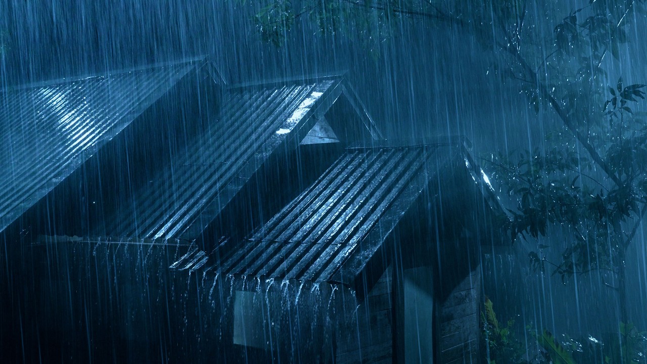 (No Ads) Goodbye Insomnia with Heavy Rain & Thunder on Tin Roof in Foggy Forest at Night