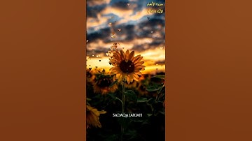 سورة الأنعام الأية 65