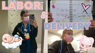 WEEK IN THE LIFE OF A LABOR AND DELIVERY NURSE | vlog 💗👶🏼🩺