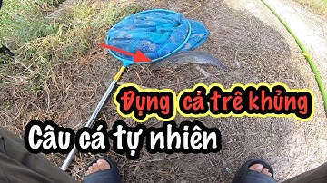 Câu cá tự nhiên dính hàng khủng dưới kênh lục bình bí ẩn || Quang Tv 