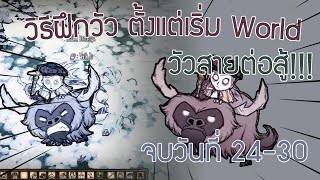 Don't syarve together : ฝึกวัวสายต่อสู้ (Ordenary Beefalo Rush) ให้เสร็จตั้งแต่วันที่ 1-30