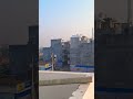 #short