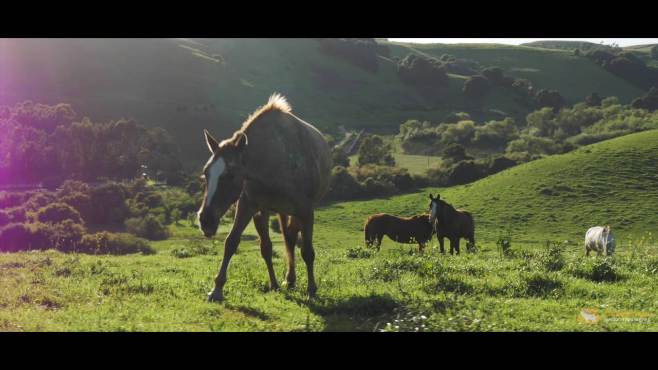 Mount Alfonso Ranch | Solano County, California