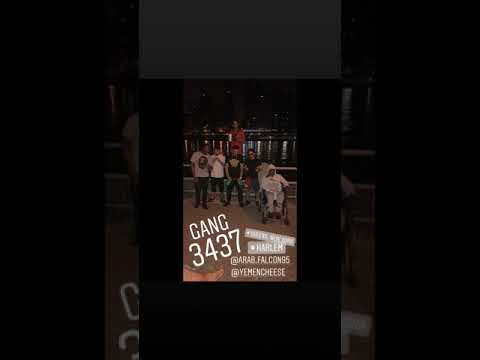 Arab Falcon Ft Yemen Cheese Cokeboy Freestyle صقر العرب و يمن شيس إرتجال هيني هون