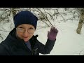 Домашнее видео. Лыжная прогулка в конце января 2023
