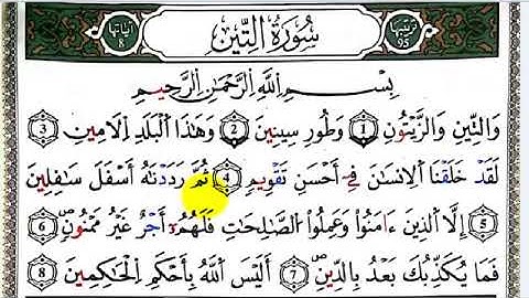 سورة التين برواية ورش| مع تتبع الآيات في مصحف القواعد| تلاوة مكررة  لضبط أحكام التجويد ومخارج الحروف