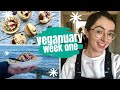 Veganuary 2021 week 1 + Vegan Raspberry Dark Chocolate Muffins recipe