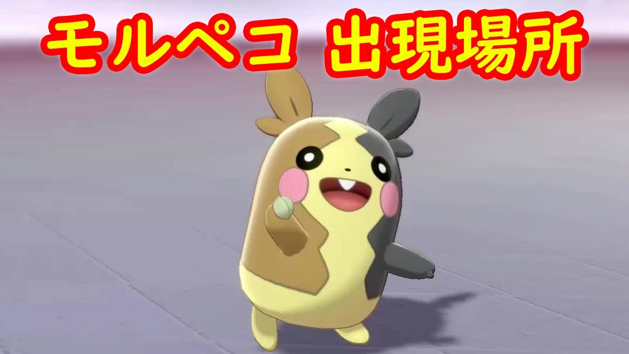 モルペコ 入手方法 出現場所 攻略 キャンプで遊ぶ ポケモン ソード シールド ポケモン剣盾 Youtube