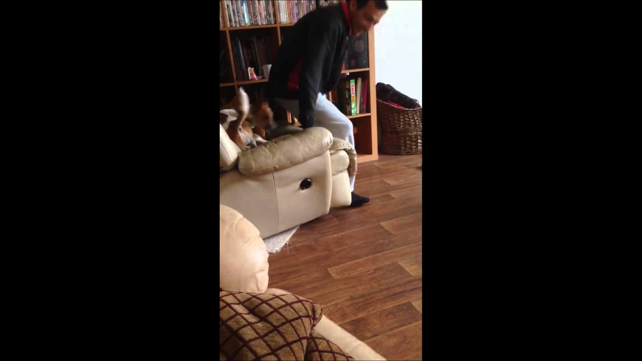 My cheeky dog won't let me sit down! YouTube