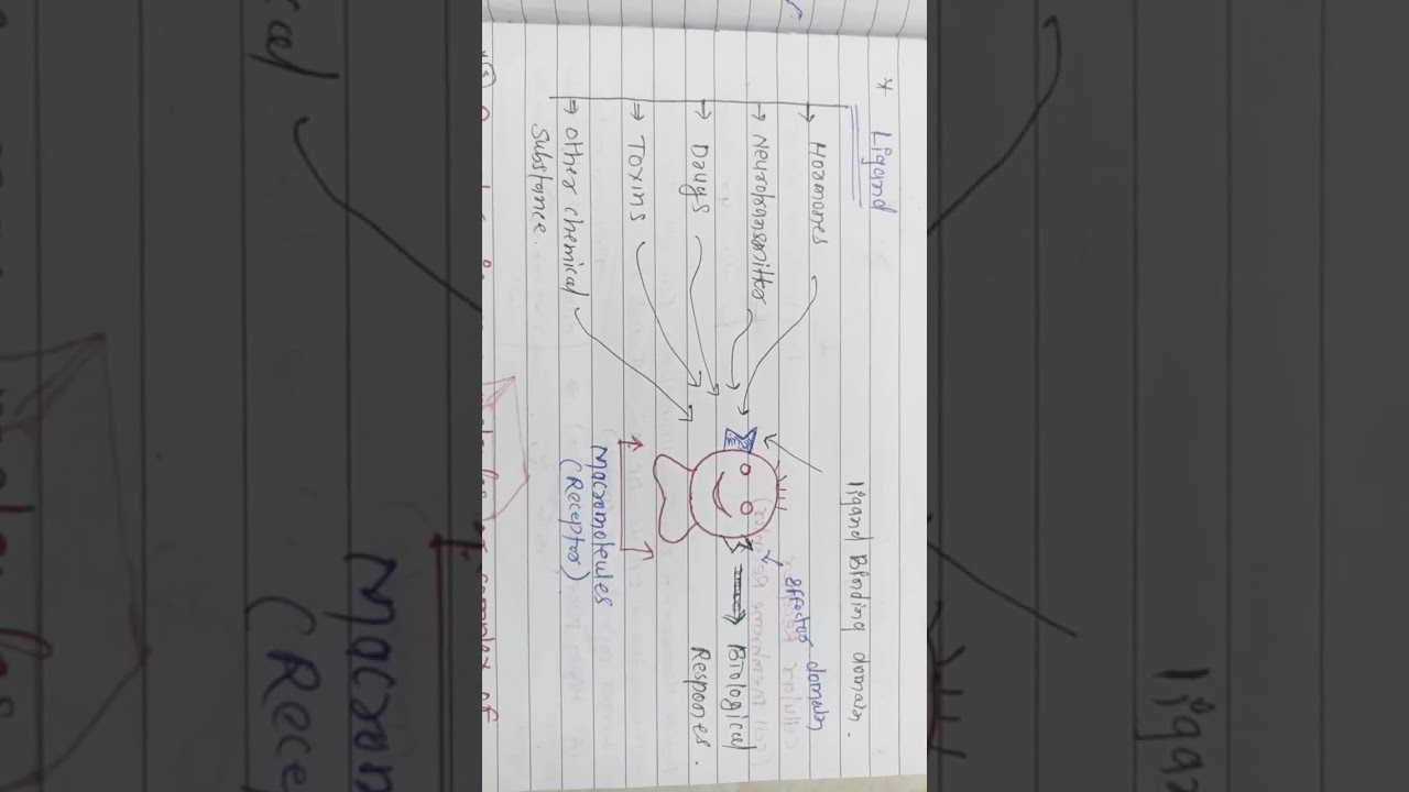Basic concept of Receptor
