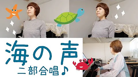 海の声 フルver 浦島太郎 桐谷健太 公式 2 Mp3