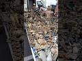 Antic collection Rome #italy Sunday market