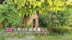 English Antique Life Youtube
