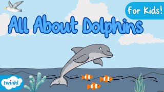 All About Dolphins for Kids! | Dolphin Facts 🐬 by Twinkl Educational Publishing 763 views 1 month ago 2 minutes, 11 seconds