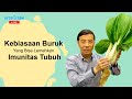 Imun Tubuh  Rusak dengan Kebiasaan Buruk Livestream Edited