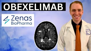 A New B-Cell Drug for MS!  Obexelimab Explained by Neurologist