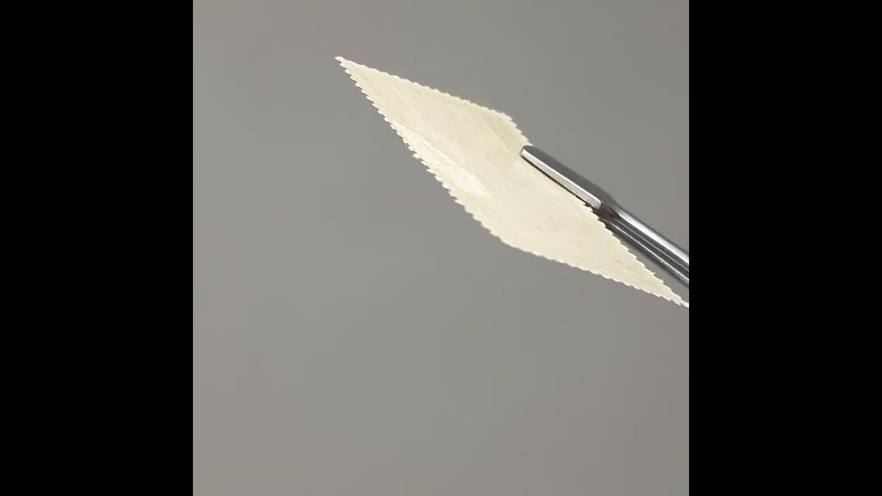 French Southern and Antarctic Lands (TAAF) Stamp 1959 0.4 French franc Brown Skua Birds