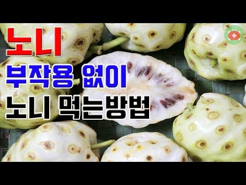 부작용 없이 노니 먹는방법. | SHARE 건강정보