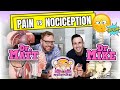 Pain vs. Nociception | Podcast