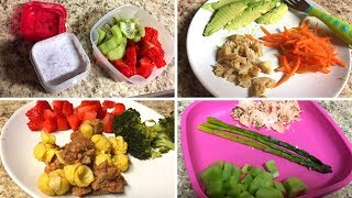 HEALTHY TODDLER MEAL IDEAS | 11 Month Old Baby Food Recipes