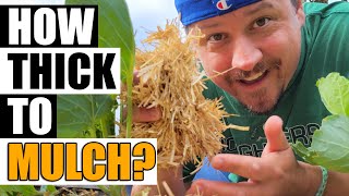 Mulch Thickness Explained - Garden Quickie Episode 101