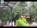 8ª ETAPA ESTADUAL 2018 - CURIÓ PRETO COM REPETIÇÃO - 2º LUGAR - CURISCO