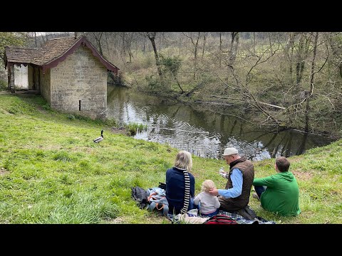 Exploring Woodchester