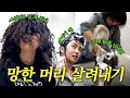 제자들의 정수리 냄새도 포용하는 아이키 스승의 은혜... ❤️(feat. 스걸파2 팀 훅)