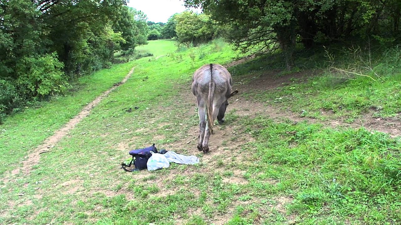 03 septembre11 les garçons sans Véra et Agathe