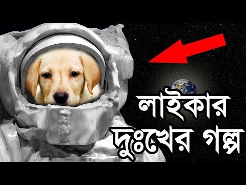 কাঁদতে বাধ্য হবেন - প্রথম মহাকাশচারী লাইকার সাথে কি হয়েছিল জেনে ✅The Sad Story of Laika