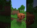 New Mobs and Item | Minecraft Spring To Life Update is Here! Ghastling & Happy Ghast in Minecraft