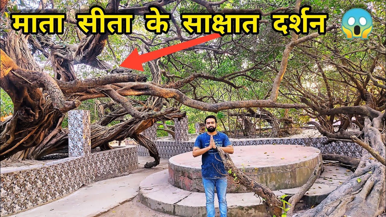 पंथपाकर धाम के रहस्यमयी पेड़ 😱 | Panthpakar Janki Mandir | Sitamarhi