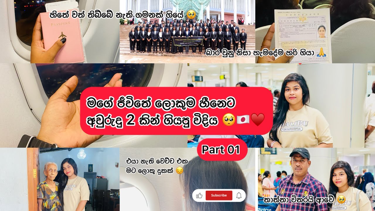අවුරුදු 2 ක් මහන්සි වෙලා මග බලන් හිටපු ලස්සනම මගේ හීනේට ගියපු විදිය JAPAN | JAPAN STUDENT VISA 🥺🇯🇵💕