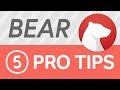 Bear | 5 Tips & Tricks