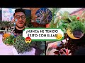 ¡10 PLANTAS de INTERIOR que me ODIAN!😓😞🌿🪴 | ¡SIEMPRE se me MUEREN!😤😡