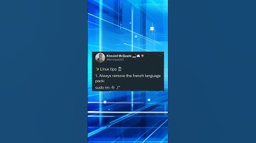 Programming memes, only humor #jokes #fy #fyp #soft #software #code #it #technology #git