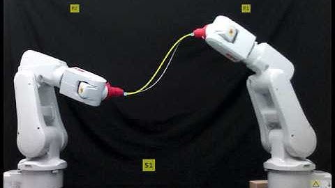 Manipulation of an elastic rod