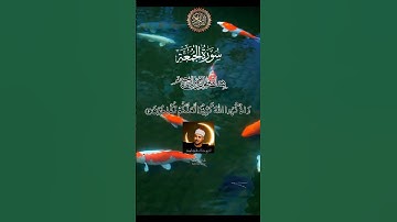 ثواني راحة نفسية هدية لك عزيزي القران الكريم #المصحف #القرآن_الكريم #سورة#quran #اكسبلور #تلاوة