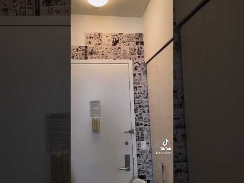 Making A Manga Wall In My Apartment 
