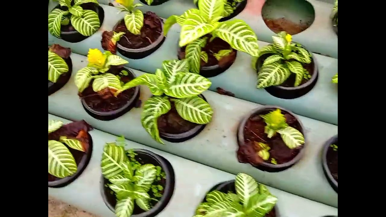 24 de fevereiro de 2026