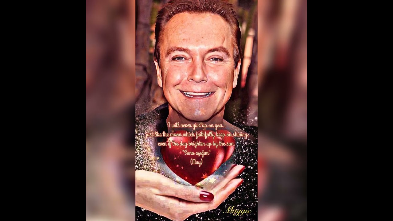 David Cassidy Tribute  - Hollywood Nights