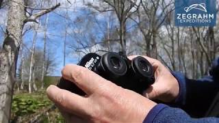 Why You Shouldnt Be Afraid To Use Binoculars