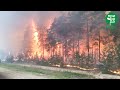 Пожар на Кокшайском тракте.