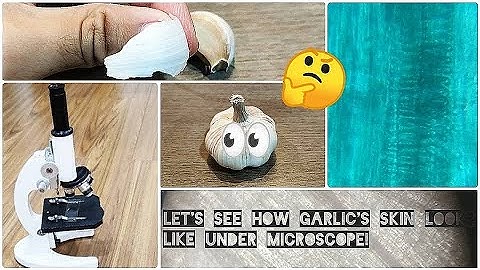 How GARLIC CELLS Look Like | Mikroskop | microscopio