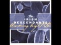 Irish Descendants  - Step it out Mary