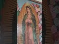 April 24, 2026😇🙏👼🤱💗🕊 #blessedvirginmary #ourladyofguadalupe #catholic #faith #hope #joy #inspiration